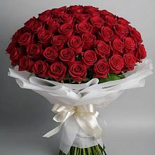 Букет 101 Красная роза Блэк Мэджик в Клин-9