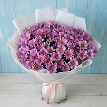 Букет цветов из:  Хризантемы в Клин-9