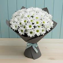 Букет цветов из:  Хризантемы #REPLACE_PRED# Клин-9