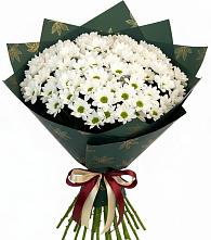 Букет цветов из:  Хризантемы в Клин-9