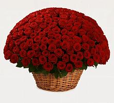 Премиум букет из: Розы в Клин-9