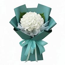 Букет цветов из:  Гортензия в Клин-9